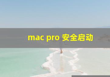 mac pro 安全启动